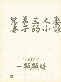 兄弟三人娶一个妻子的小说