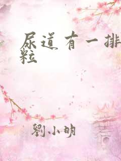 尿道有一排小肉粒