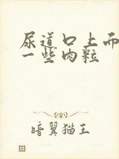 尿道口上面长了一些肉粒