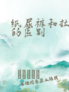 纸尿裤和拉拉裤的区别