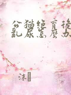 公猫绝育后还会乱尿怎么办