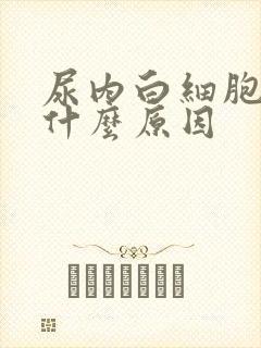 尿内白细胞高是什么原因