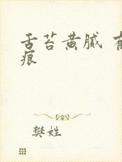 舌苔黄腻 有齿痕