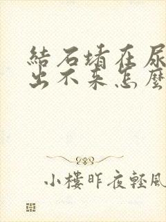 结石堵在尿道口出不来怎么办