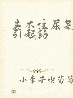 夹不住尿是怎么引起的