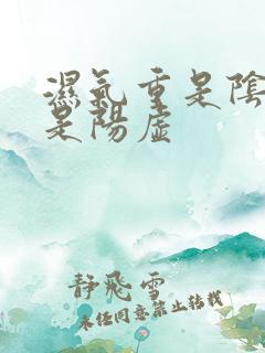 湿气重是阴虚还是阳虚