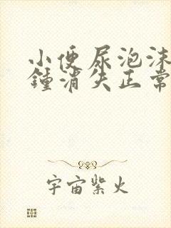 小便尿泡沫几分钟消失正常