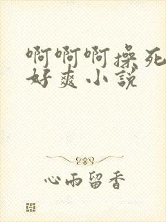 啊啊啊操死我了好爽小说