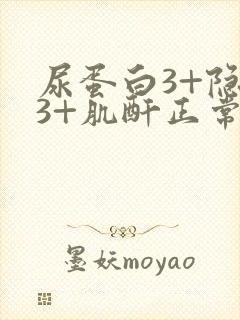 尿蛋白3+隐血3+肌酐正常