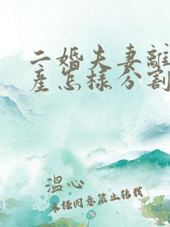 二婚夫妻离婚财产怎样分割