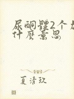 尿酮体2个加号什么意思