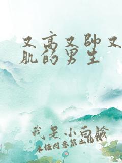 又高又帅又有腹肌的男生