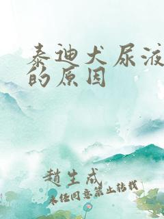 泰迪犬尿液发黄的原因