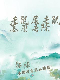 老鼠屎老鼠尿味怎么去除