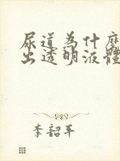 尿道为什么会流出透明液体