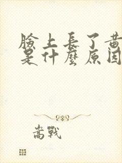 脸上长了黄褐斑是什么原因引起的