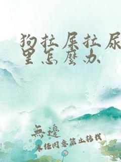 狗拉屎拉尿在家里怎么办