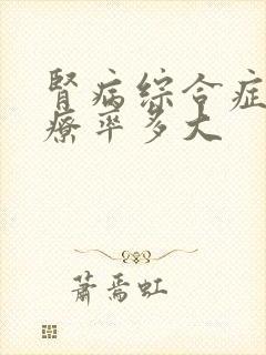 肾病综合症的治疗率多大