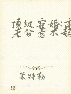 顶级宠婚:高冷老公惹不起免费阅读正版