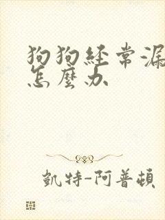 狗狗经常漏尿,怎么办