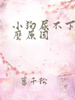 小狗尿不下来什么原因