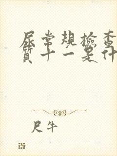 尿常规检查蛋白质十一是什么意思