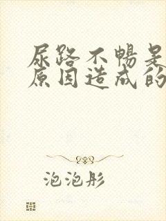 尿路不畅是什么原因造成的