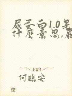 尿蛋白1.0是什么意思,严重吗