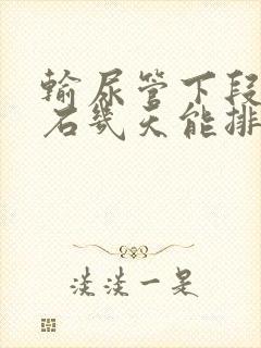 输尿管下段有结石几天能排出