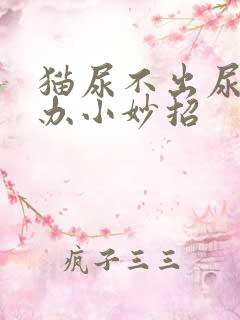 猫尿不出尿怎么办小妙招