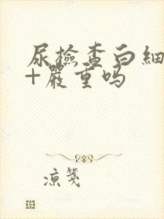 尿检查白细胞3+严重吗