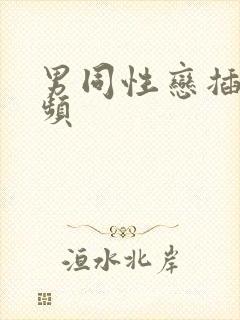 男同性恋插肛视频