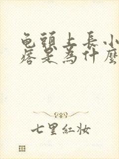 龟头上长小肉疙瘩是为什么