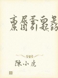 高尿蛋白是什么原因引起的