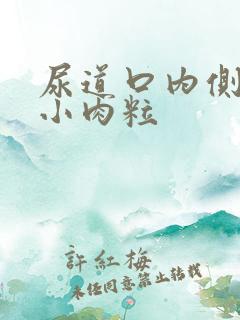 尿道口内侧长有小肉粒