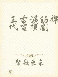 王雷演的裸婚时代电视剧