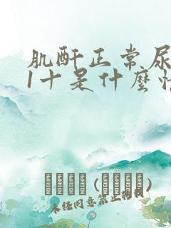 肌酐正常尿蛋白1十是什么情况