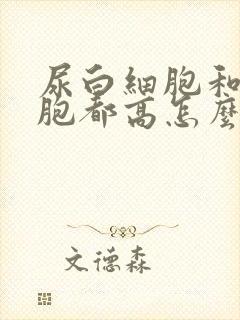 尿白细胞和红细胞都高怎么回事