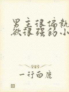 男主很偏执占有欲很强的小说