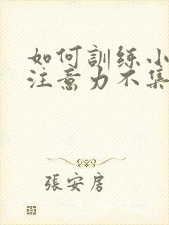 如何训练小孩子注意力不集中