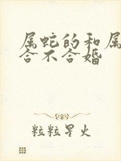 属蛇的和属牛的合不合婚