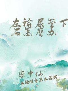 左输尿管下段结石怎么办