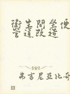 卫生间坐便下水管道改造