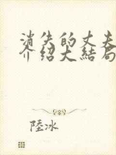 消失的丈夫剧情介绍大结局