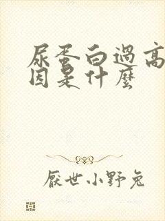 尿蛋白过高的原因是什么