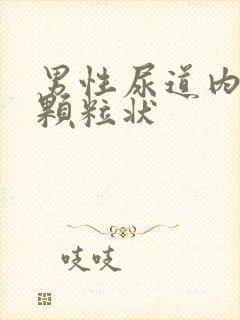 男性尿道内白色颗粒状