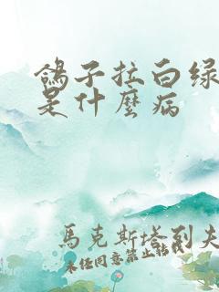 鸽子拉白绿稀便是什么病