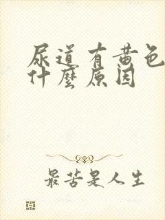 尿道有黄色液体什么原因