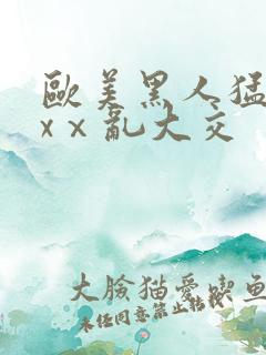 欧美黑人猛交xxⅹ乱大交