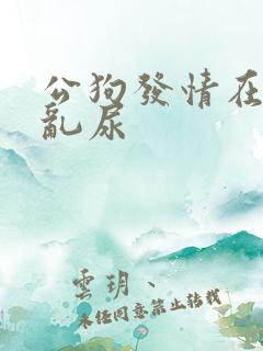 公狗发情在家里乱尿